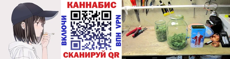 Что такое Шахунья Канабис  Меф  ГАШ 