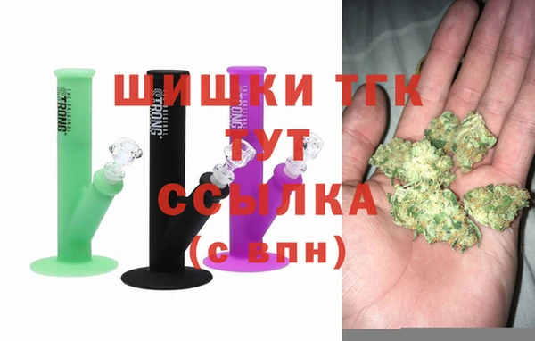 СК Богородицк